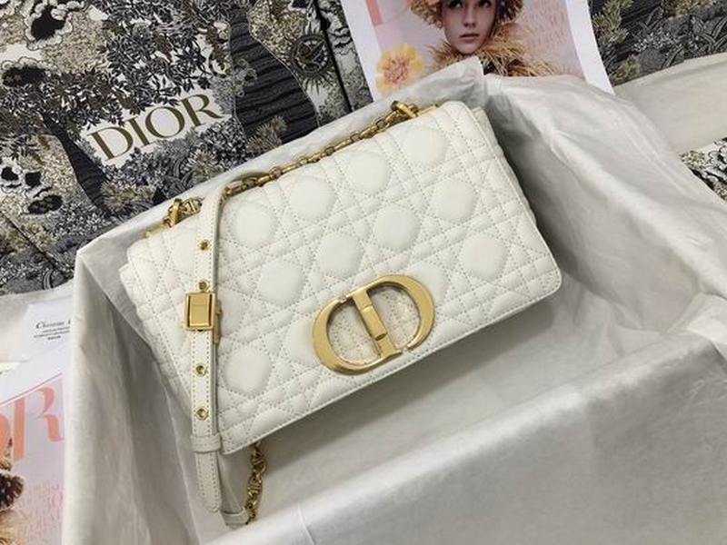 DIOR Handbags 50